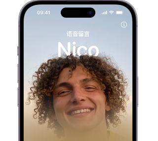 阳山苹果15服务站分享iPhone15实时语音留言开启方法 